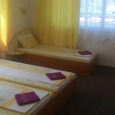 Guest house Svetla 2*