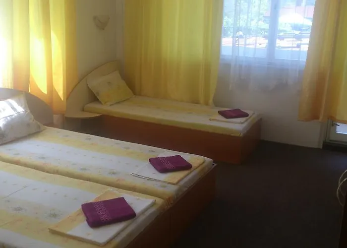 Πανσιόν Svetla 2*